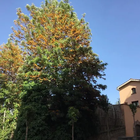 Casa Eleonora * Sorrento