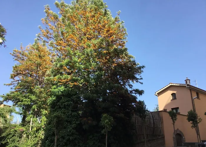 Casa Eleonora * ソレント